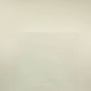 neutral plain cotton fabric from Designers Guild