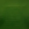 green plain cotton fabric from Designers Guild