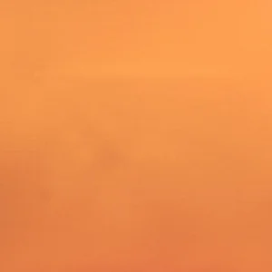 orange plain cotton fabric from Designers Guild