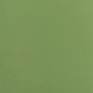 green plain velvet-chenille fabric from Designers Guild