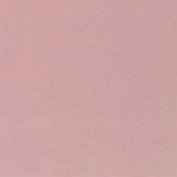 Velluto Stretto Fabric - Pale Rose by pink plain velvet-chenille fabric from Designers Guild