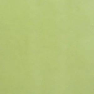 green plain velvet-chenille fabric from Designers Guild