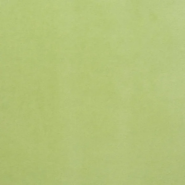 Varese Fabric - Leaf by green plain velvet-chenille fabric from Designers Guild