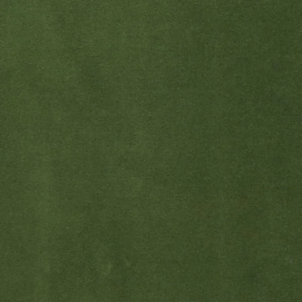 Varese Fabric - Fir by green plain velvet-chenille fabric from Designers Guild
