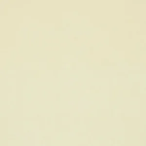 brown plain velvet-chenille fabric from Designers Guild