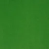 green plain velvet-chenille fabric from Designers Guild