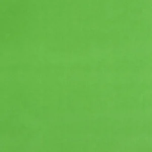 green plain velvet-chenille fabric from Designers Guild