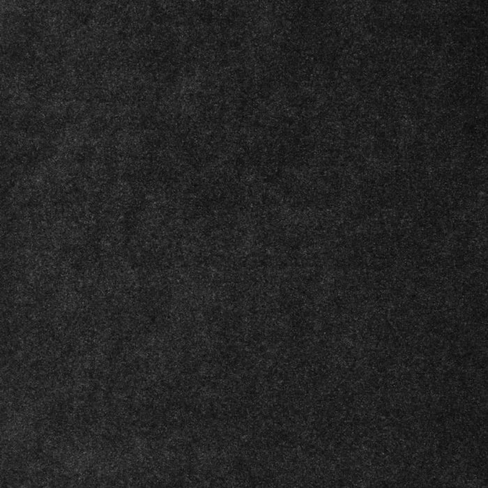 Camina Fabric - Black swatch
