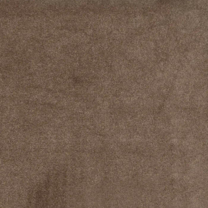 Camina Fabric - Cappuccino swatch