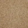 neutral plain woolen fabric from iLiv