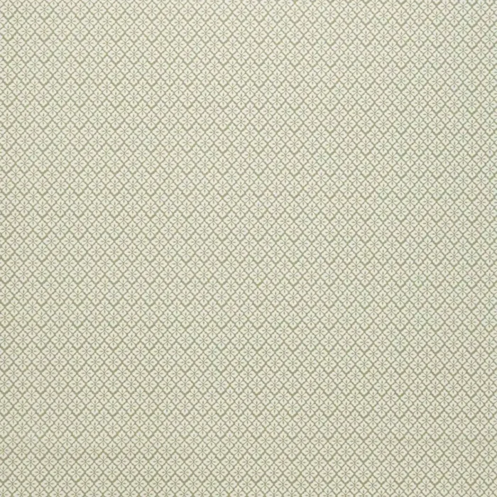 Ariel Fabric - Thyme swatch