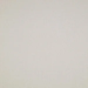 white plain velvet-chenille fabric from iLiv