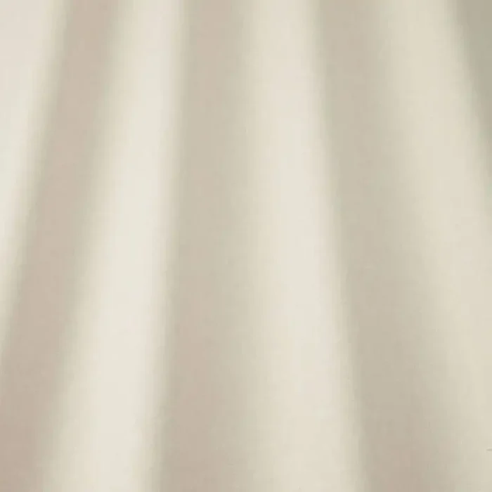 Canvas Fabric - Natural swatch