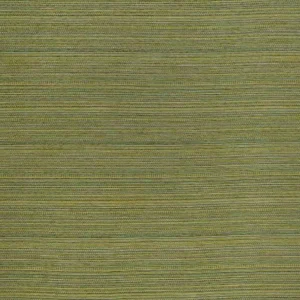 green plain woven fabric from iLiv