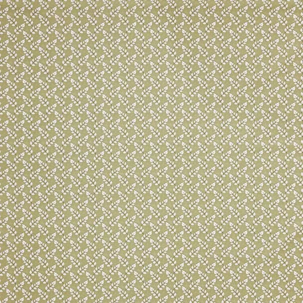 Maidenhair Fabric - Fennel by green botanical cotton fabric from iLiv