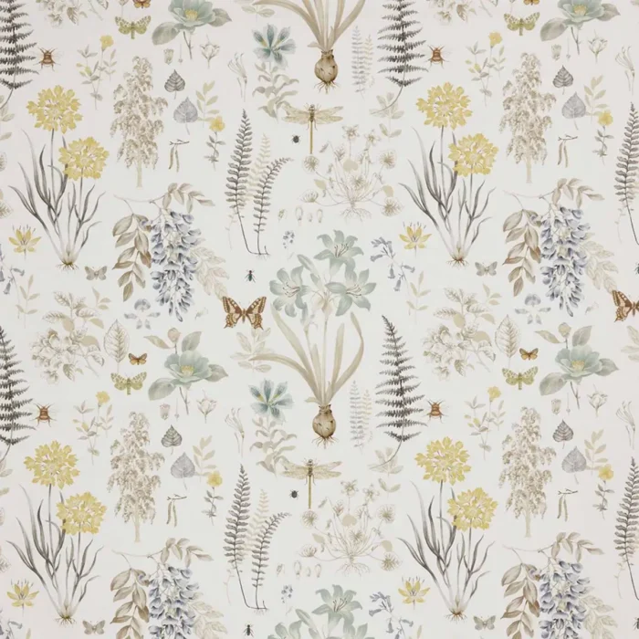 Observatory Fabric - Cornsilk swatch