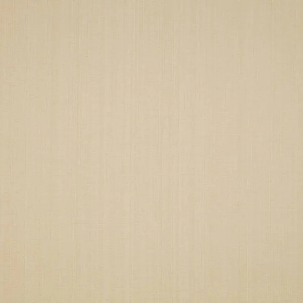 Stratford Fabric - Oyster by brown plain velvet-chenille fabric from iLiv