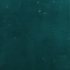 blue plain velvet-chenille fabric from iLiv