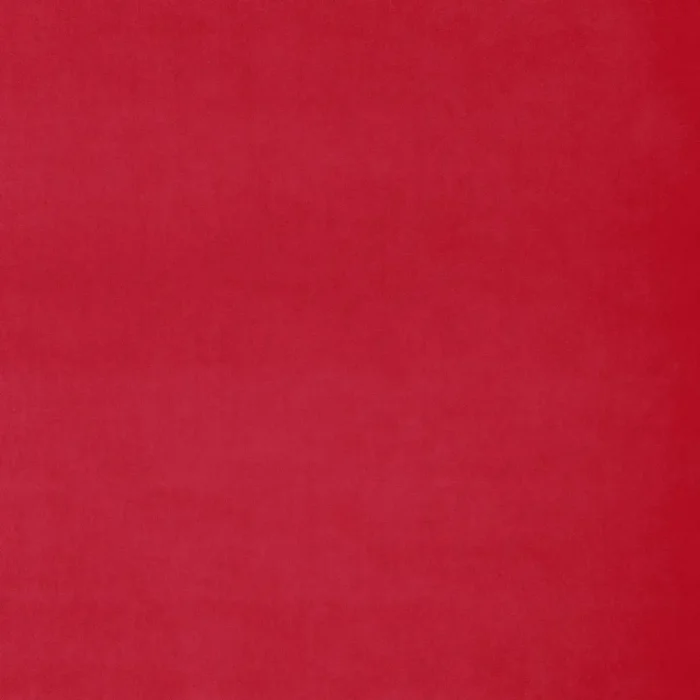 Omega Fabric - Pillarbox swatch