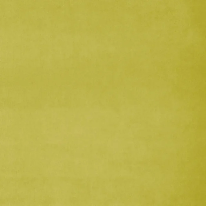 Omega Fabric - Wattle swatch