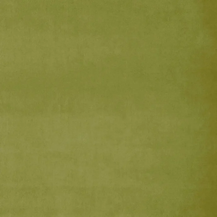 Omega Fabric - Pistachio swatch