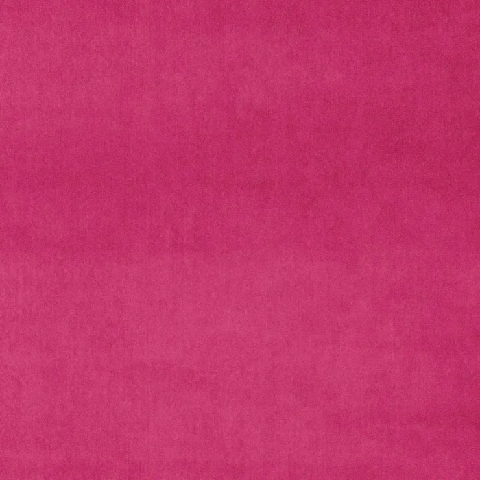 Omega Fabric - Folly swatch
