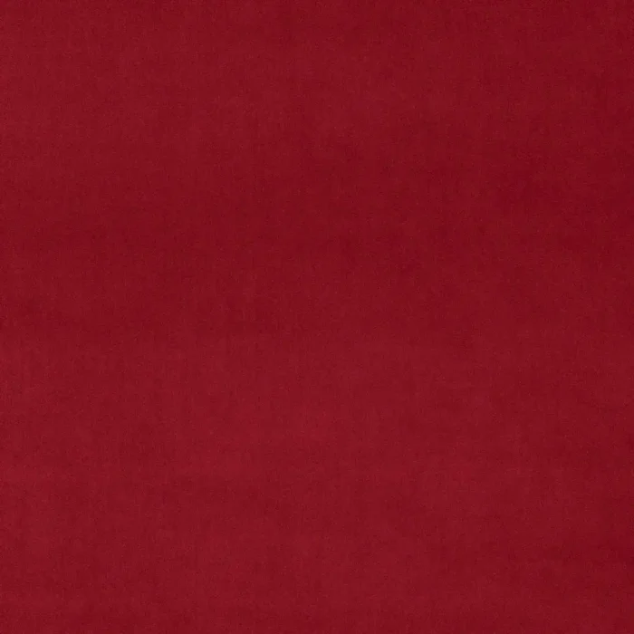 Omega Fabric - Poppy swatch