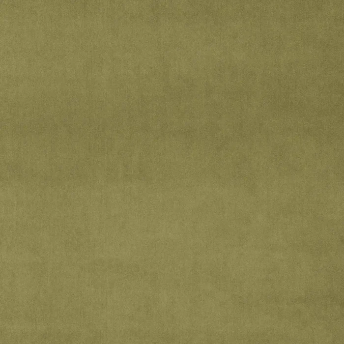 Omega Fabric - Sage swatch