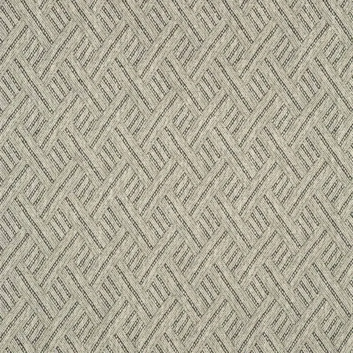Rumba Fabric - Coal swatch
