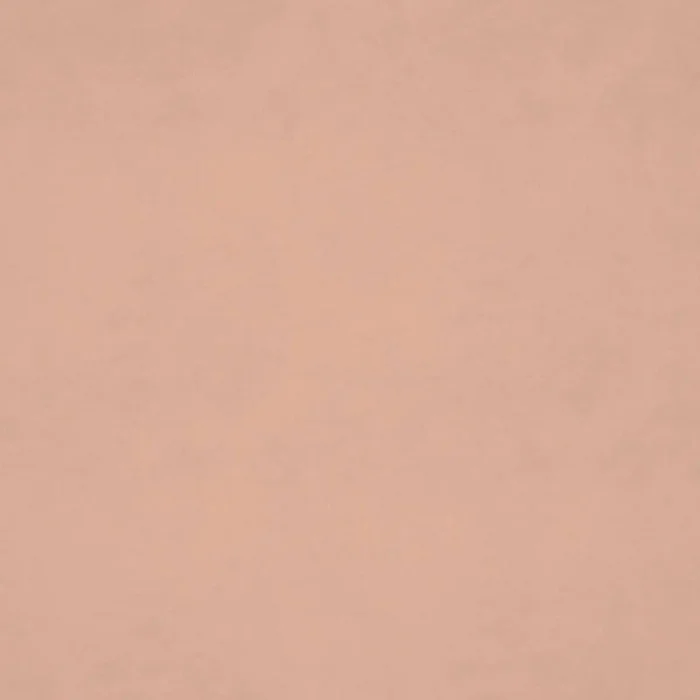 Tango Velvet Fabric - Blossom swatch