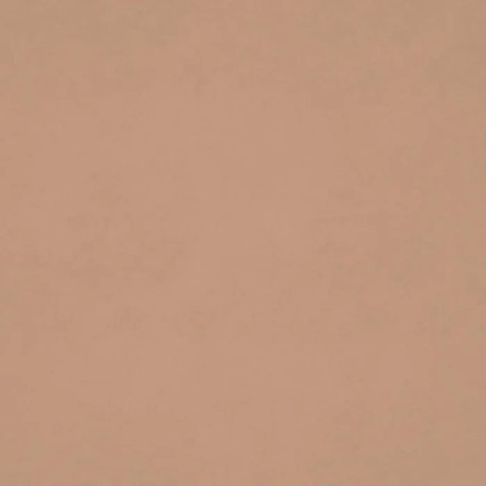 Tango Velvet Fabric - Moleskin swatch