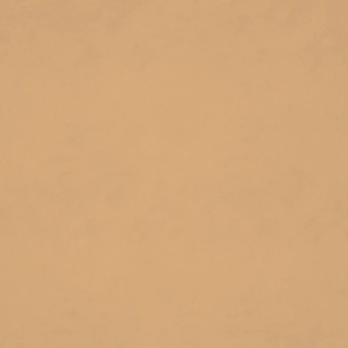 Tango Velvet Fabric - Champagne swatch