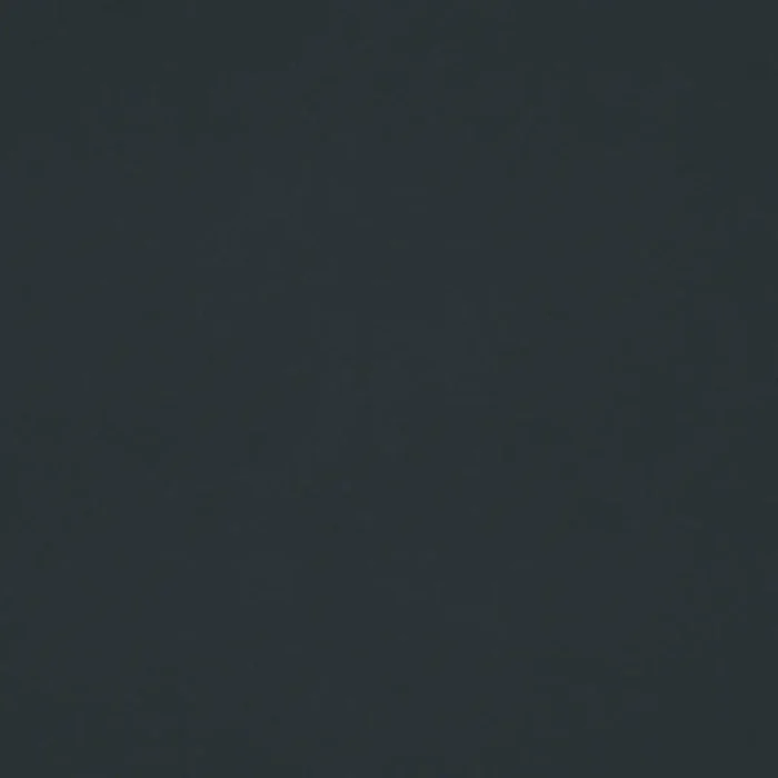 Tango Velvet Fabric - Noir swatch