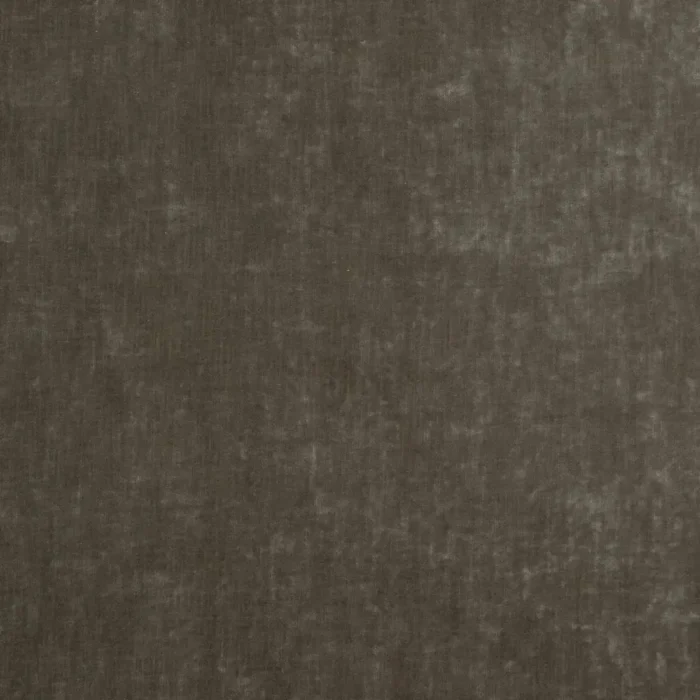 Cosmos Fabric - Fawn swatch