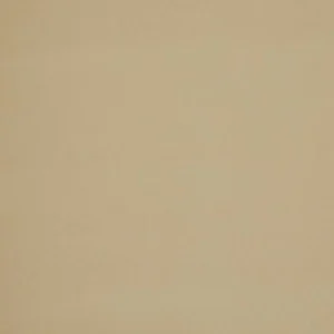 neutral plain velvet-chenille fabric from Ashley Wilde