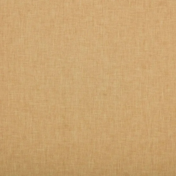 Cole Fabric - Fudge by neutral plain cotton fabric from Ashley Wilde