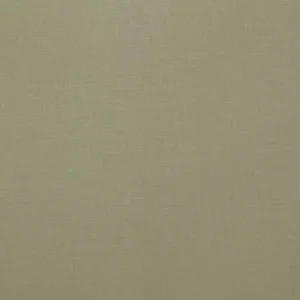 green plain woven fabric from Ashley Wilde