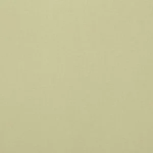 green plain woven fabric from Ashley Wilde