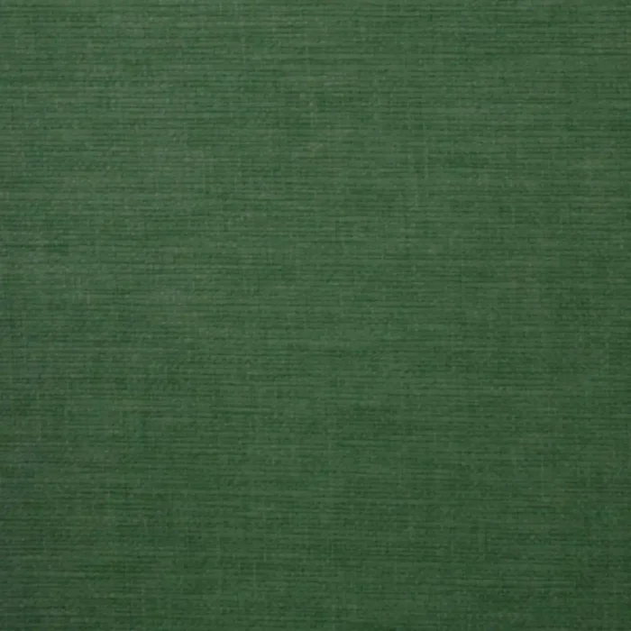 Lunar Fabric - Amazon swatch