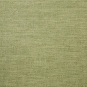 green plain woven fabric from Ashley Wilde