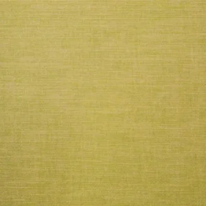 yellow plain woven fabric from Ashley Wilde