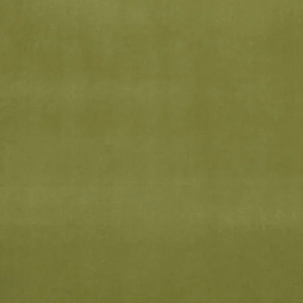 Alvar Fabric - Leaf by green plain velvet-chenille fabric from Clarke & Clarke