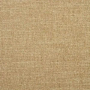 brown plain velvet-chenille fabric from Clarke & Clarke
