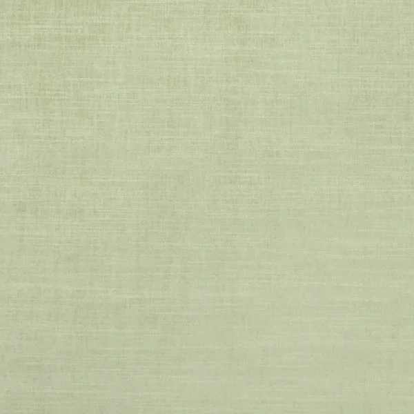 Moray Fabric - Sage by green plain velvet-chenille fabric from Clarke & Clarke