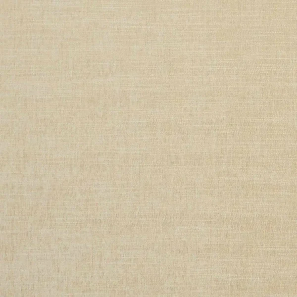 Moray Fabric - Sand by brown plain velvet-chenille fabric from Clarke & Clarke