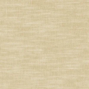 white plain woven fabric from Clarke & Clarke