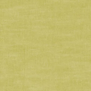 green plain woven fabric from Clarke & Clarke