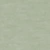 green plain woven fabric from Clarke & Clarke