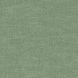 green plain woven fabric from Clarke & Clarke