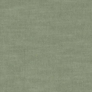 green plain woven fabric from Clarke & Clarke